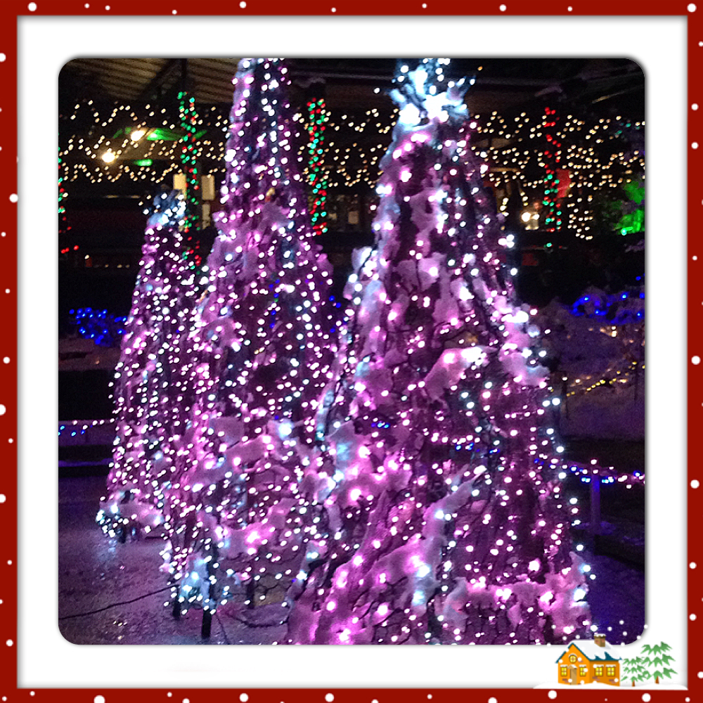 Foto: Lite nordamerikanskt julglitter från "Festival of Lights" i Van Dusen Gardens.